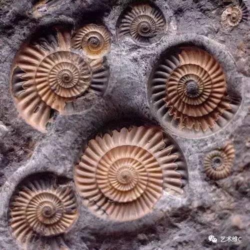 你猜猜，几百年前人们是怎么收藏的？