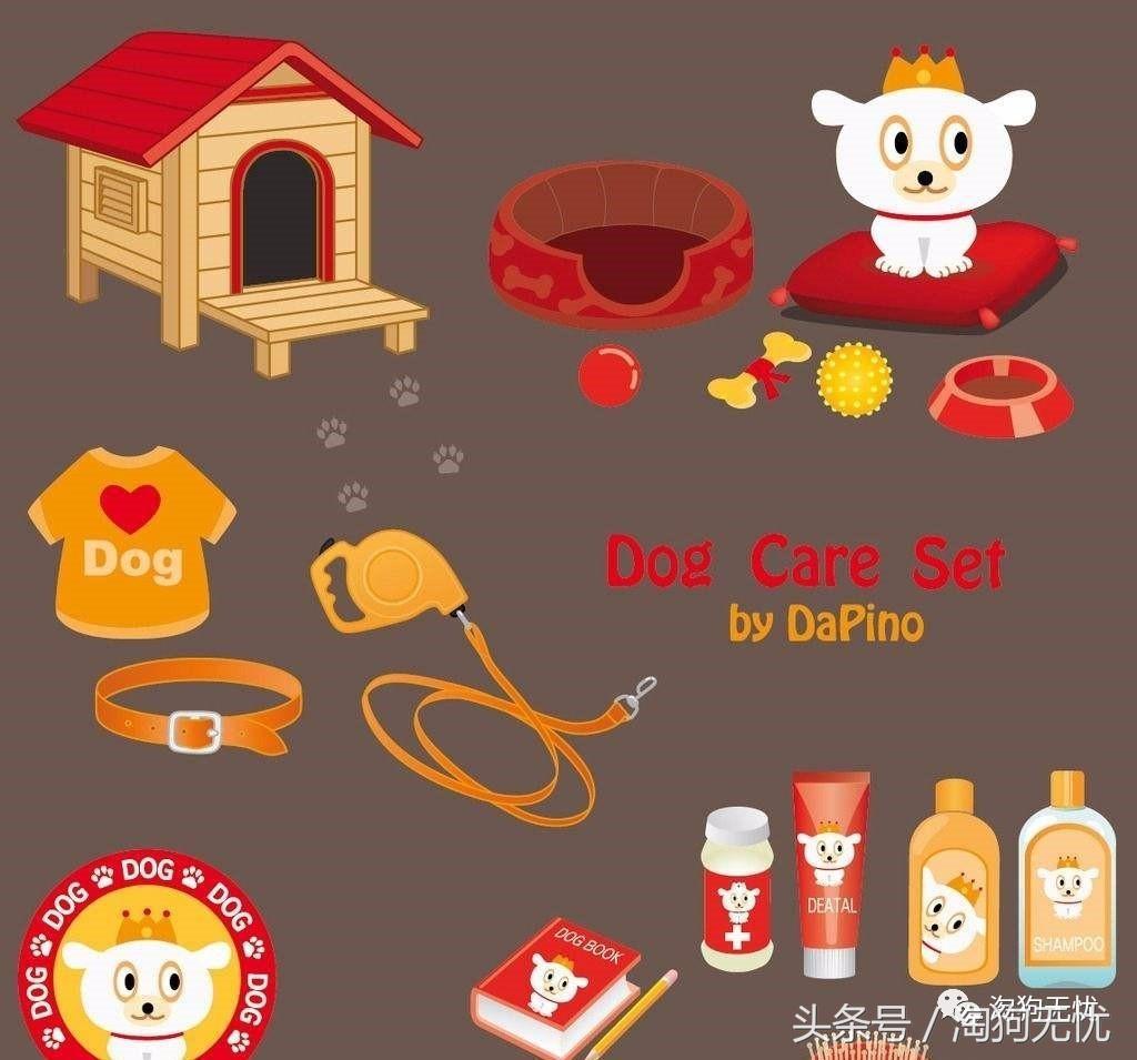 养狗知识培训,养狗第一天到家