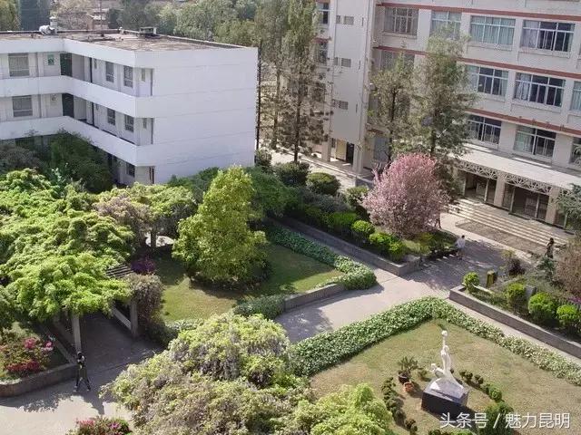 谢谢你昆明,昆十四中学