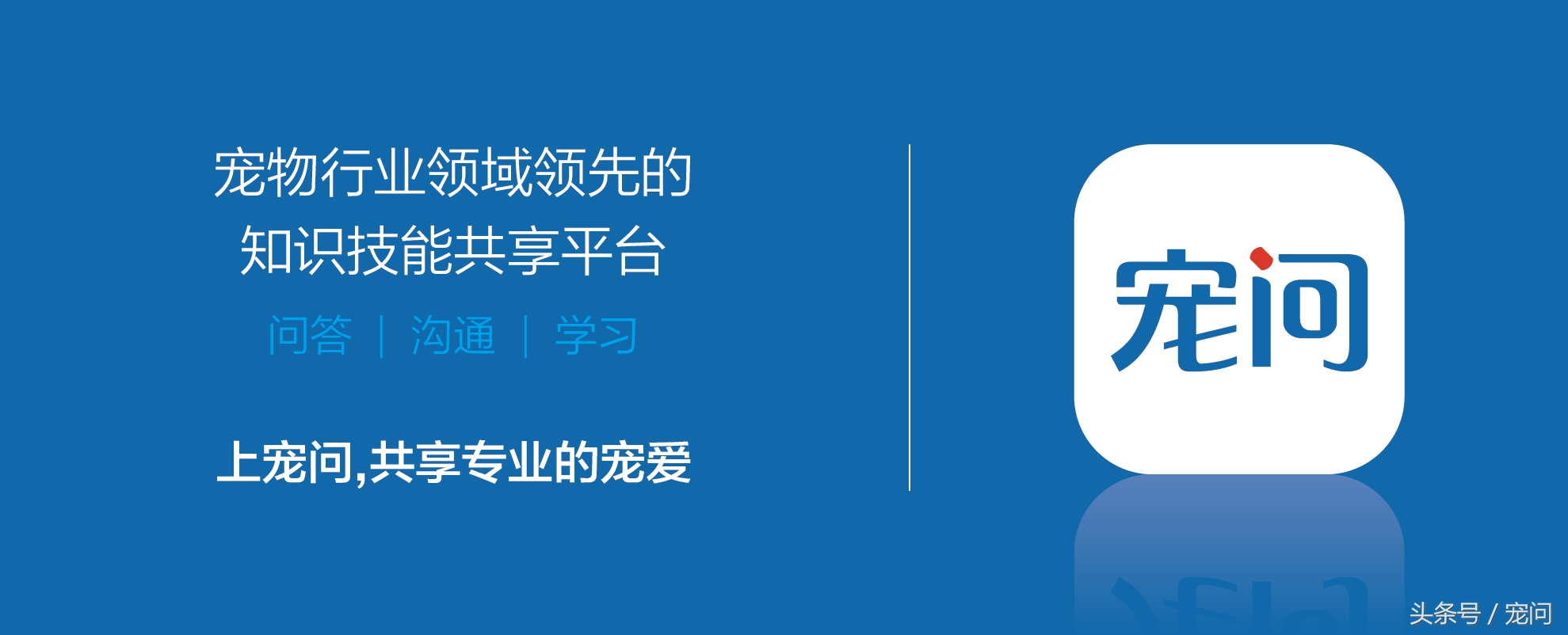 狗贩子让喂20粒狗粮怎么办,为什么卖家说狗只能吃一点点狗粮