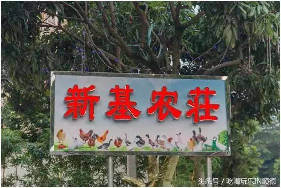 高配的自家农场农庄开始大放价，38蚊/打湛江生蚝！1蚊炸云吞