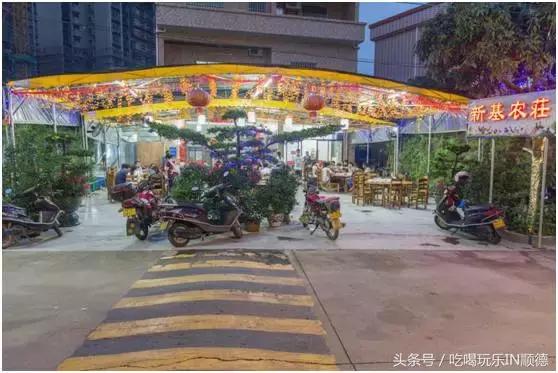 高配的自家农场农庄开始大放价，38蚊/打湛江生蚝！1蚊炸云吞