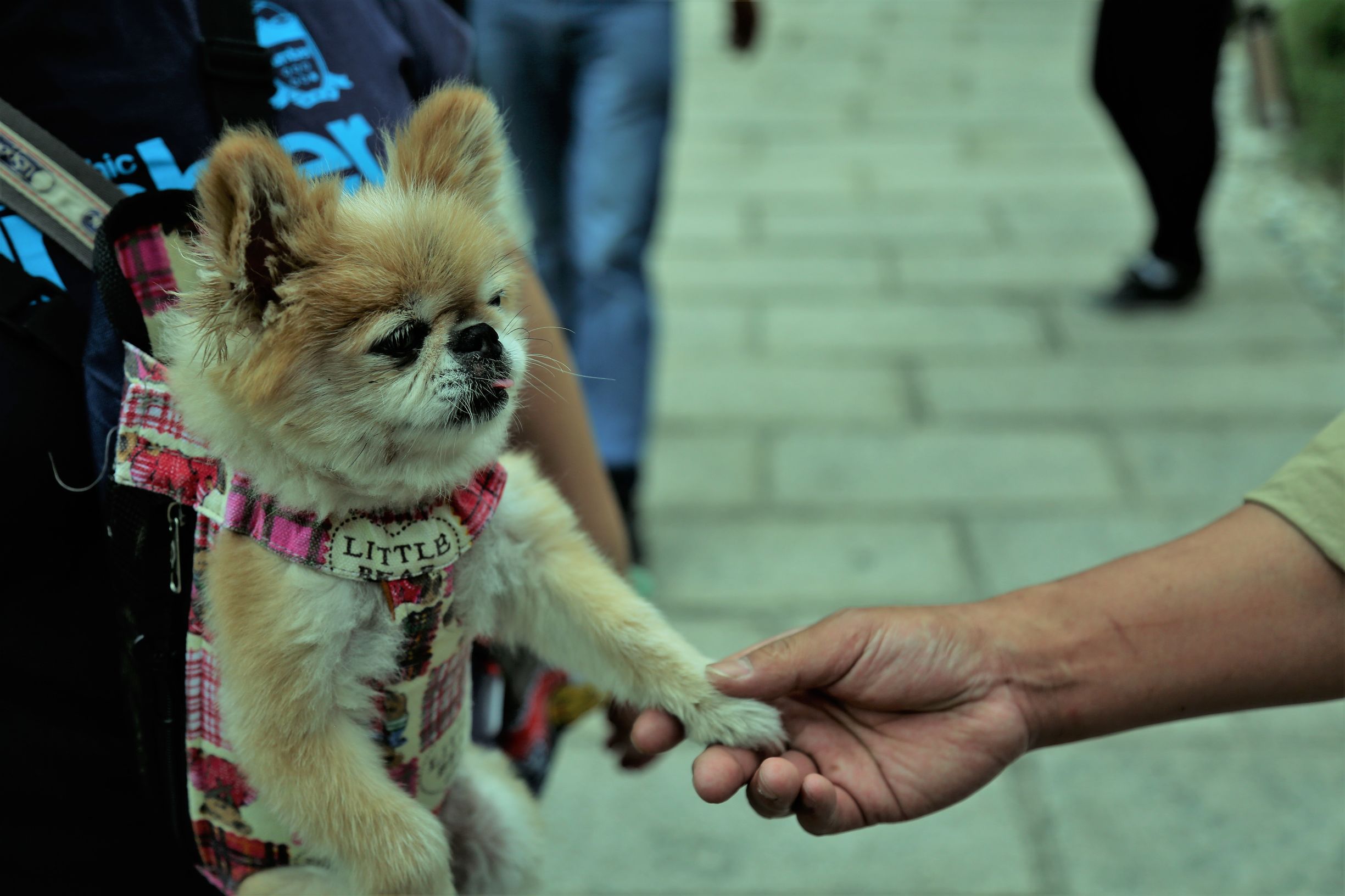白石山十瀑潭石林峡四日游,白石山风景区自驾游攻略图