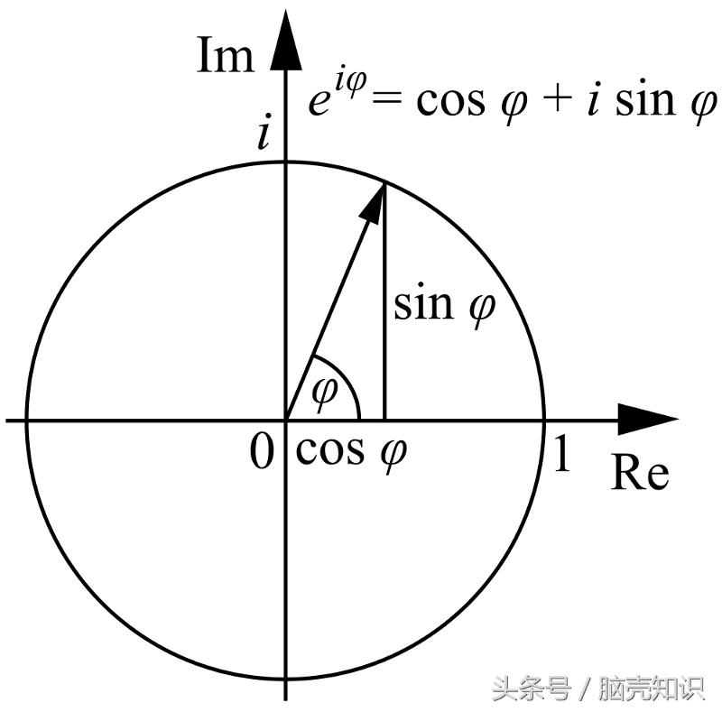 虚数的实际意义详细,虚数的基本知识