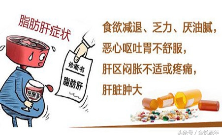 大家都在传，三七对脂肪肝的防治作用特别好？