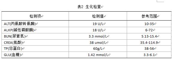 龙猫难产完整版,龙猫难产孩子拽出来