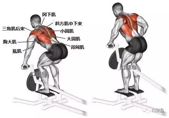 背部训练第一个动作t杆划船,t杠划船练哪里