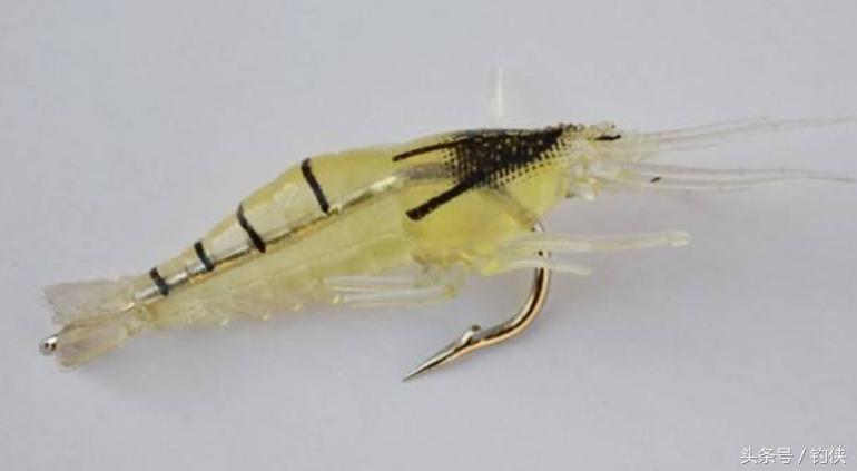 路亚假饵认识大全,钓鱼认识鱼漂视频