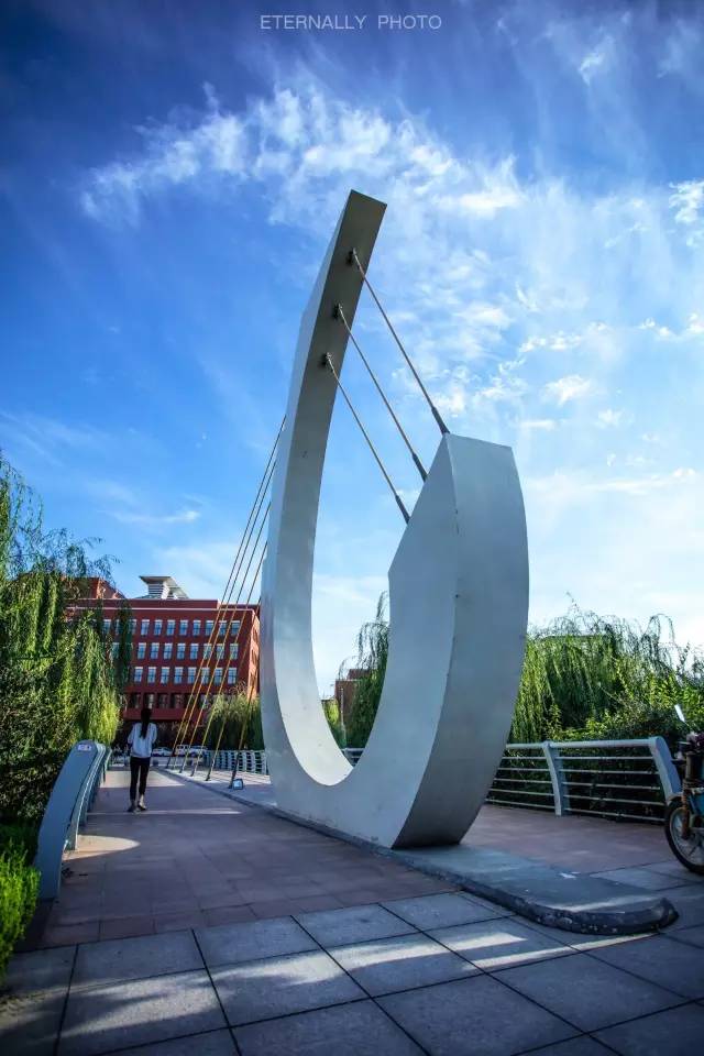 山东交通学院报名咨询电话,山东交通学院宣传视频