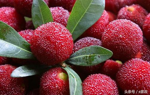 水果过敏的人吃水果会怎么样,水果过敏有哪些水果