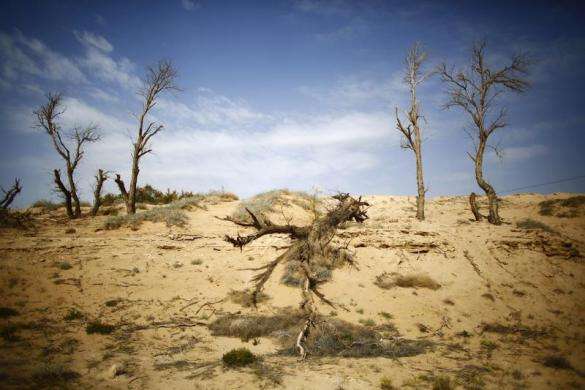 苏武牧羊是在贝加尔湖还是贝尔湖,苏武牧羊是在贝尔湖还是贝加尔湖