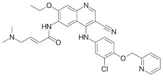 asco抗癌治疗,her2乳腺癌脑转移新药