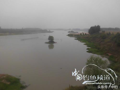 野河深秋降温后钓鲫鱼,冬钓鲫阴雨天怎样钓