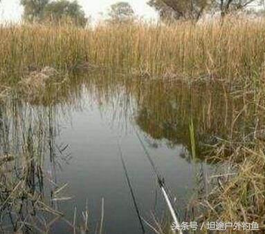 钓鱼遇到小鱼闹窝怎么办,虾闹窝最有效解决办法