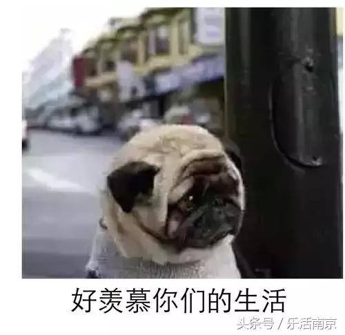 毕业省钱租房攻略,南京毕业季租房