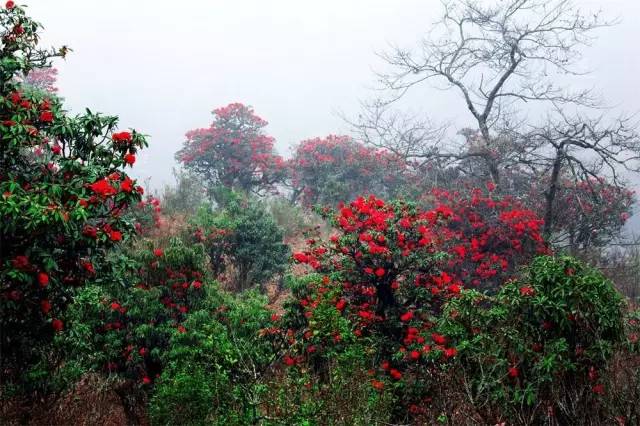 在云南生活有多惬意,师宗县美丽县城