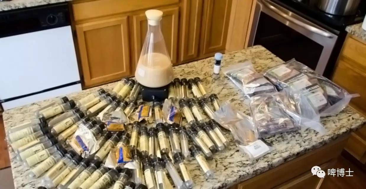 英式ipa和美式ipa的区别,英国ipa和美国ipa的区别