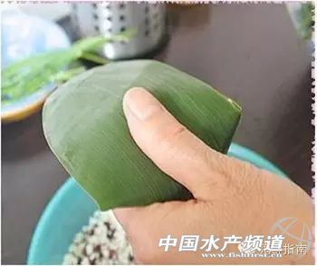 海鲜粽子一定要干海鲜吗,海鲜粽子需要什么材料