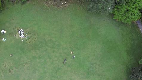 大疆无人机phantom3se新手,djiphantom3professional