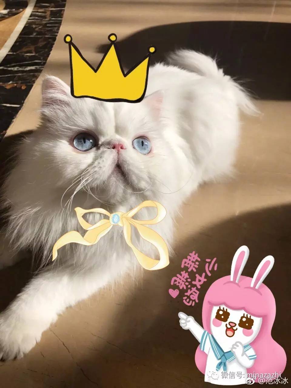 女生修图必备app推荐,女生修图软件app