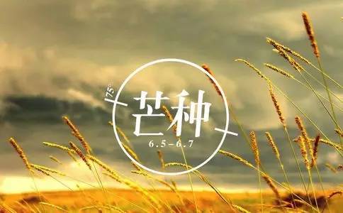 芒种开运的最佳方法,芒种咋过