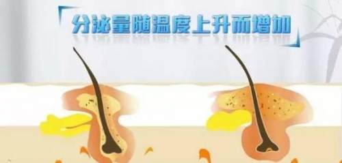 痘痘反反复复还可以护肤吗,痘痘长期下不去