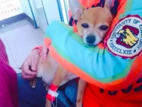 小五直播间故事汇,小五讲故事直播间