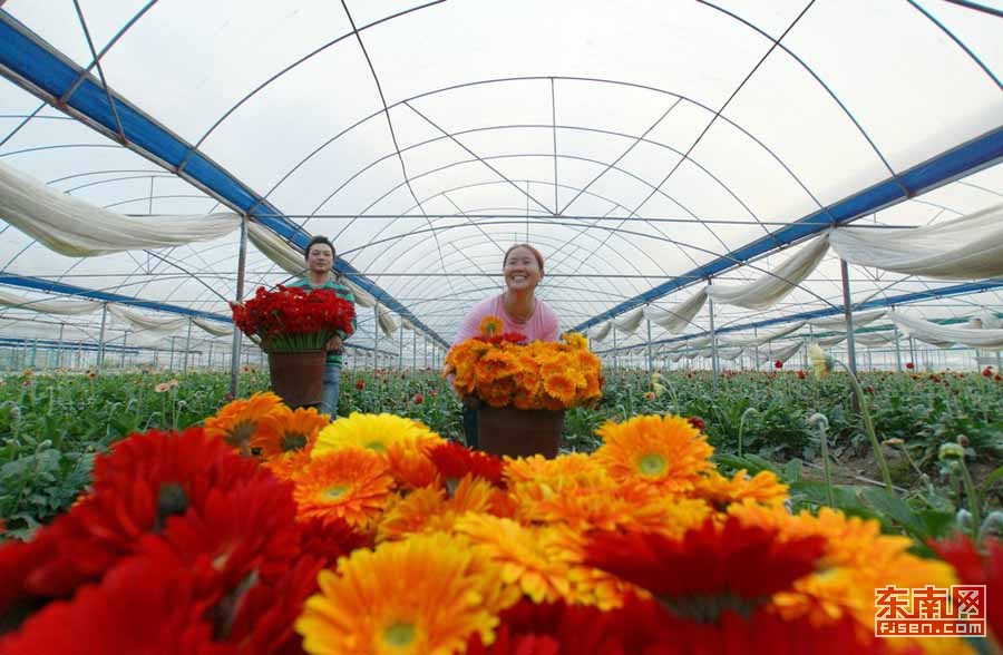 大山深处绽放美育之花新华社,大山深处自然生长而美丽的花