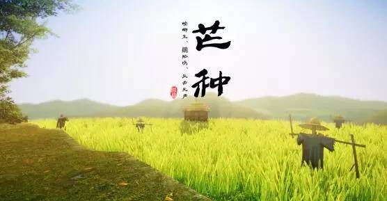 芒种开运的最佳方法,芒种咋过