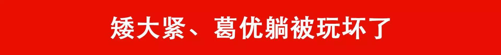 速8男主角,速八的男神