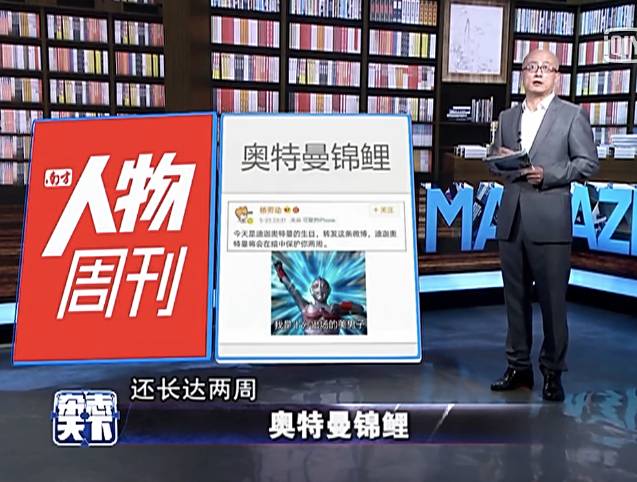 奥特曼锦鲤礼盒,奥特曼锦鲤