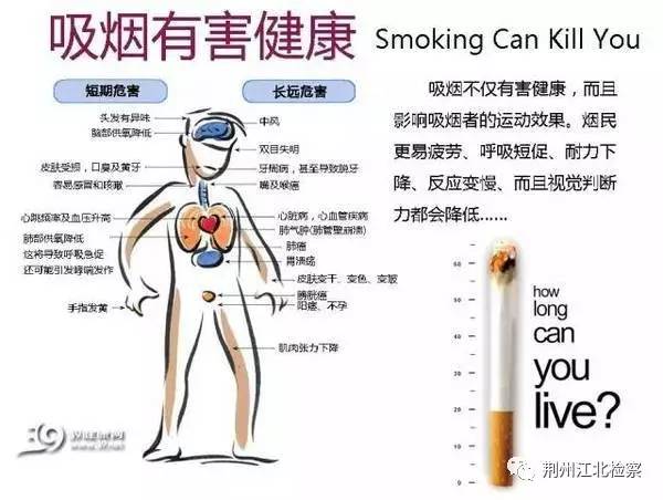 世界无烟日控烟作品,世界无烟日中国控烟
