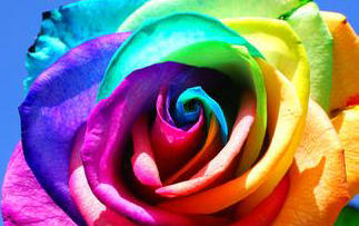 白带的详细检查有哪些,白带常规检查单