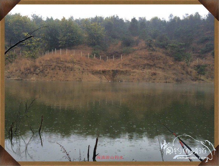 冷雨咬钩,冷雨钓鱼钓多深