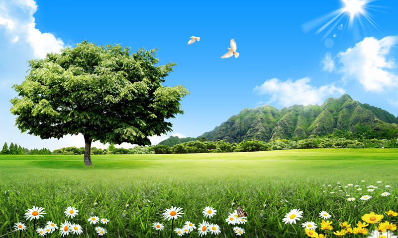 鼻炎严重怎么治疗效果最好,鼻炎有什么食疗治愈法