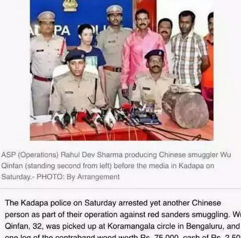 小叶紫檀冬天倒盆快死了,小叶紫檀半死不活