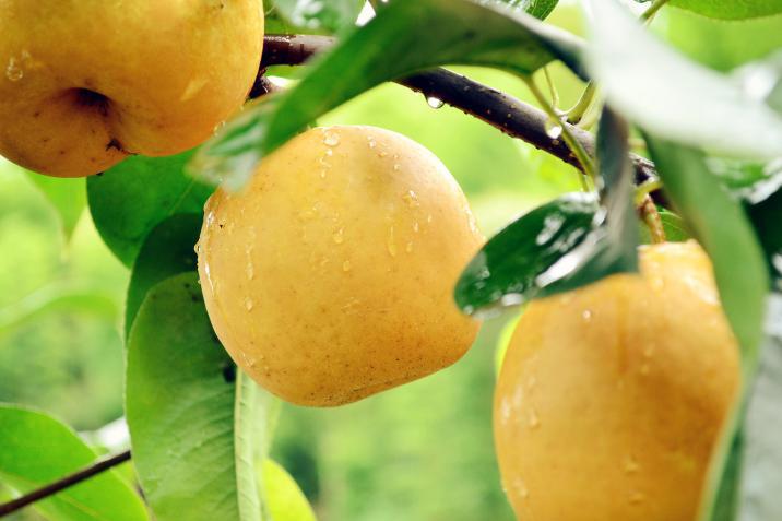 雷人！女子便秘难忍报警求助其实可以这样做