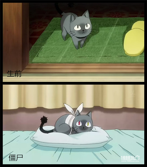 散华礼弥僵尸女友第几集,散华礼弥女主动漫超清壁纸