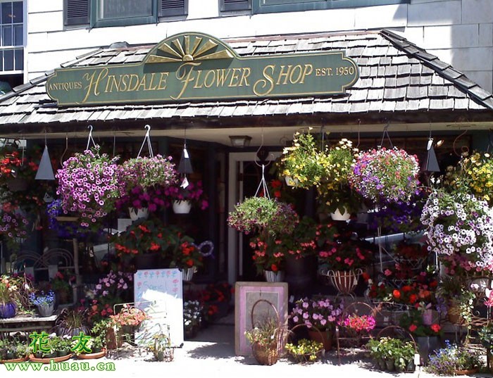 要开花店需要掌握哪些知识,开花店需要什么手续和费用