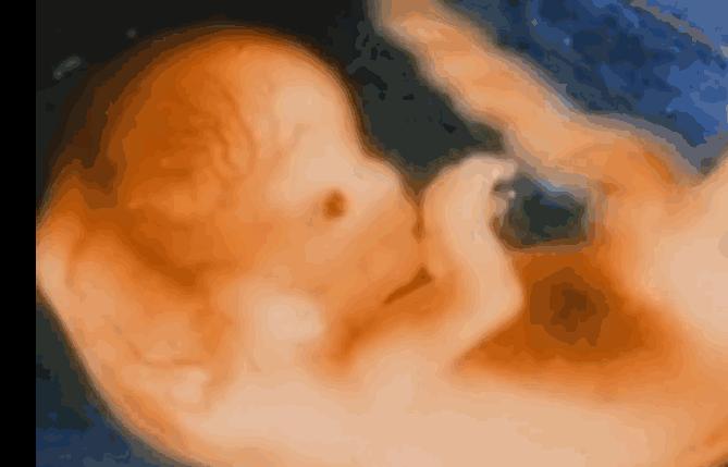 好孕2016！汤唯宣布怀孕啦！女神的小猴子是这样来的！