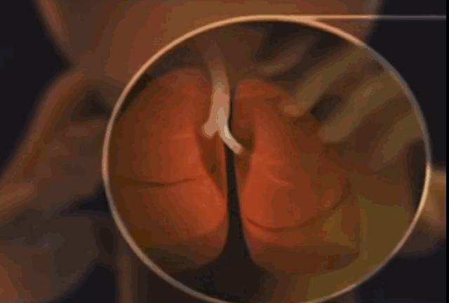 好孕2016！汤唯宣布怀孕啦！女神的小猴子是这样来的！