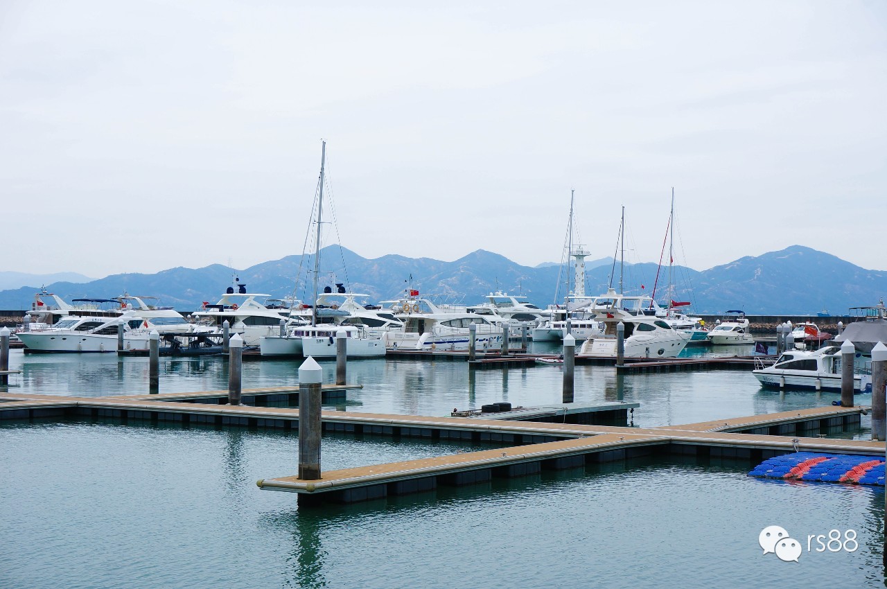 42鑻卞昂璞崕娓歌墖涔嬫梾,rs-88