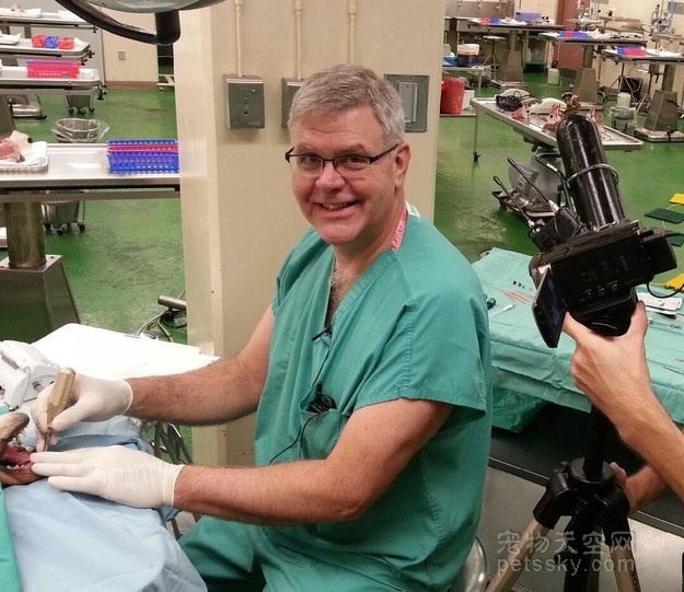 金毛牙不齐,金毛牙齿不齐视频