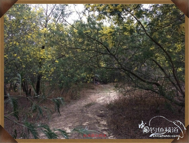 冷雨咬钩,冷雨钓鱼钓多深