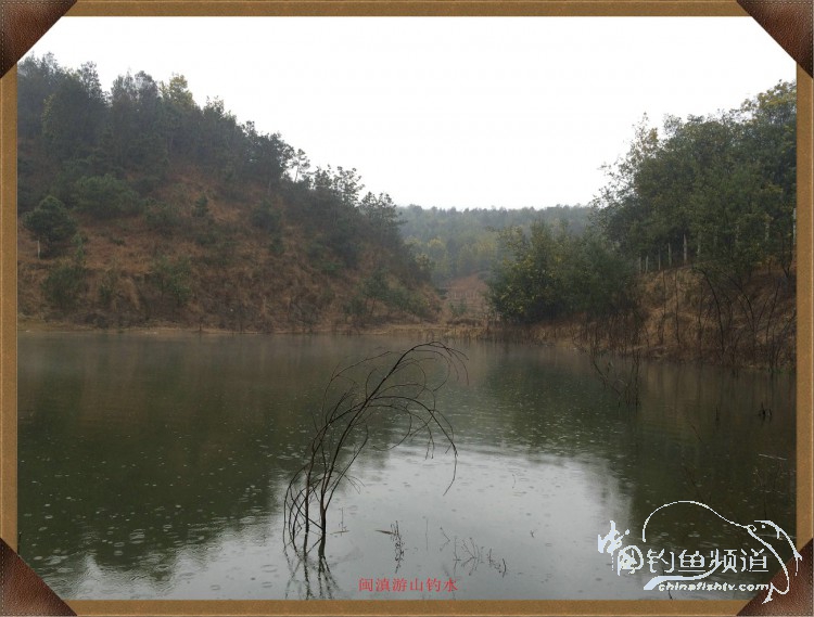 冷雨咬钩,冷雨钓鱼钓多深