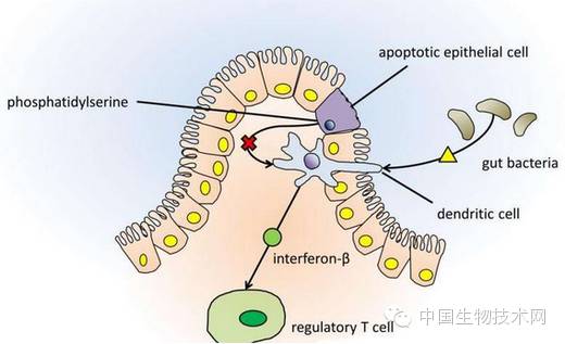 癌症运动对抗癌有效吗,抗癌运动每天30分钟抑制癌症复发