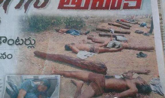 小叶紫檀冬天倒盆快死了,小叶紫檀半死不活