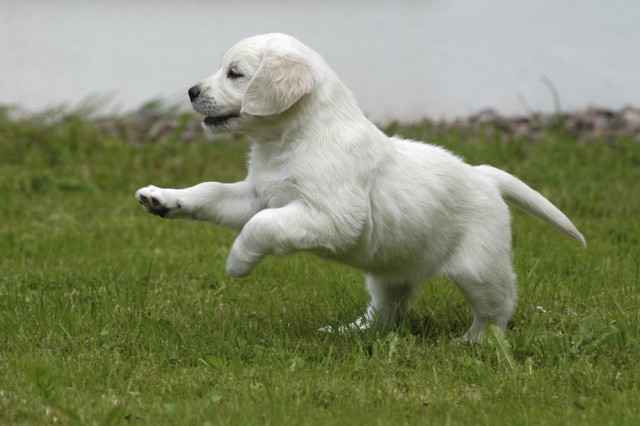 准妈妈的一些关注方面，为了孩子也要看看
