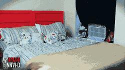 女生姨妈期用哪个姨妈巾最好,女生姨妈期该用什么姨妈巾