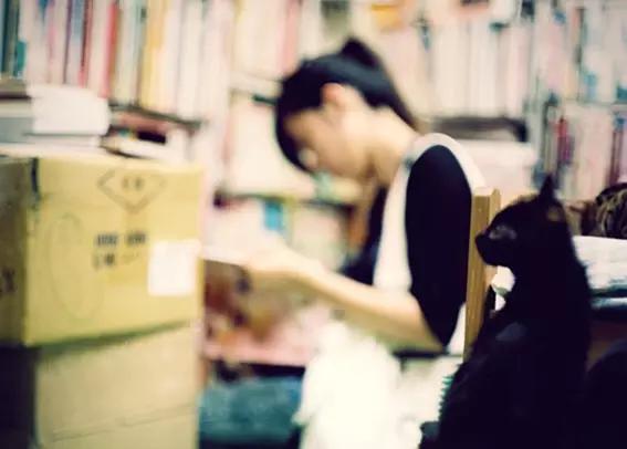 物道丨这家书店，养了33年的猫